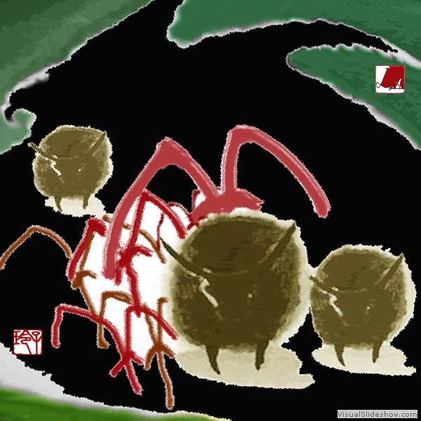 十二生肖 Zodiac 8.