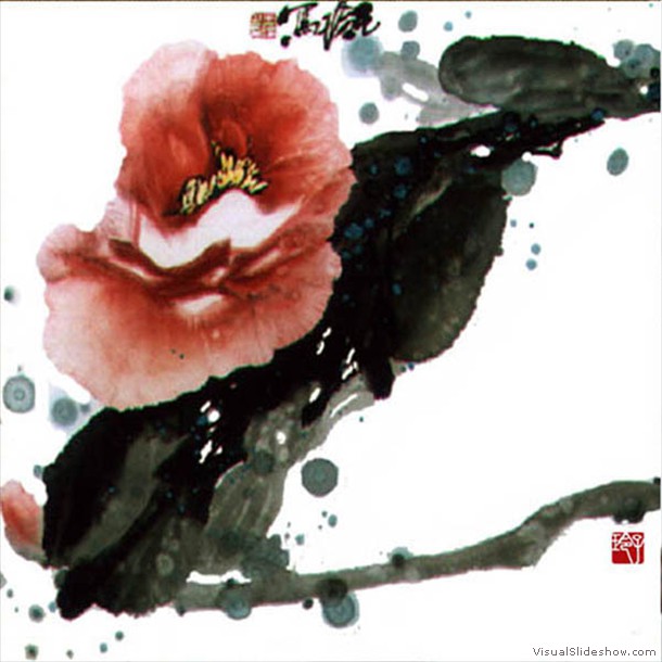 牡丹花 Peony 15.