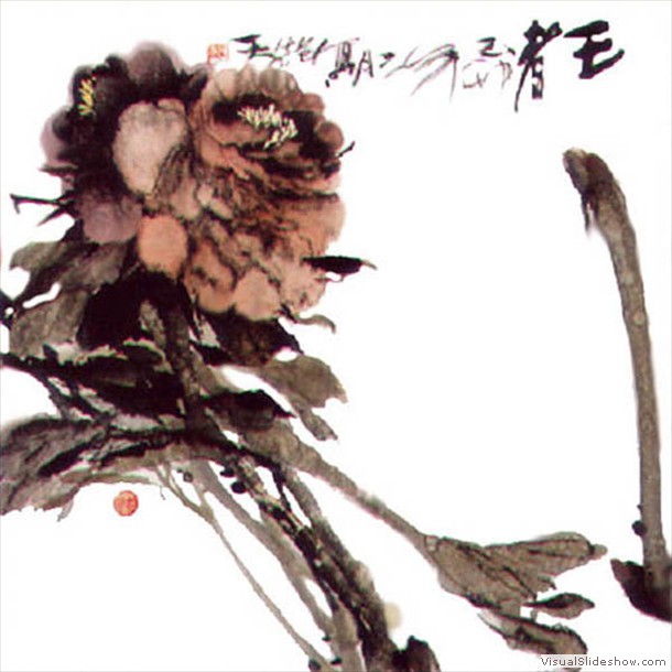牡丹花 Peony 17.