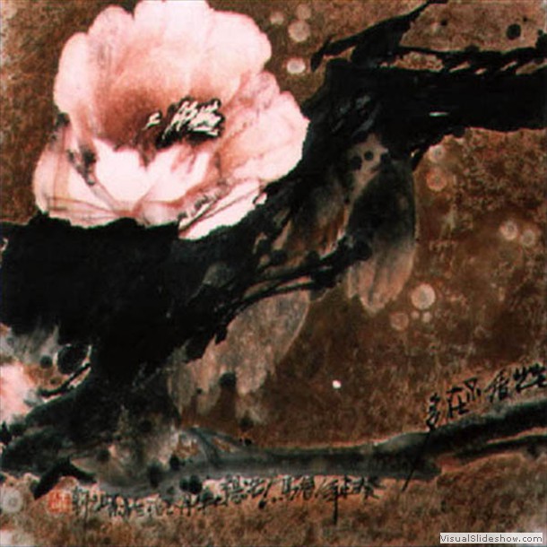 牡丹花 Peony 18.