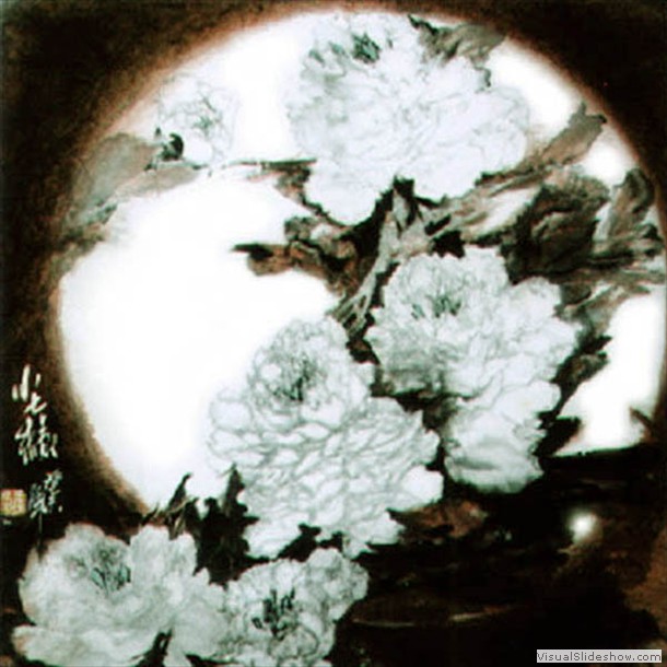 牡丹花 Peony 20.