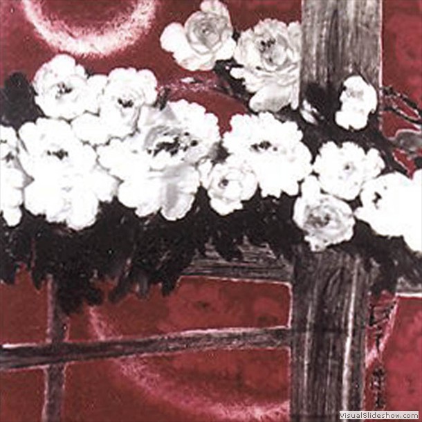 牡丹花 Peony 25.
