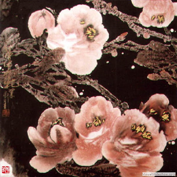 牡丹花 Peony 4.