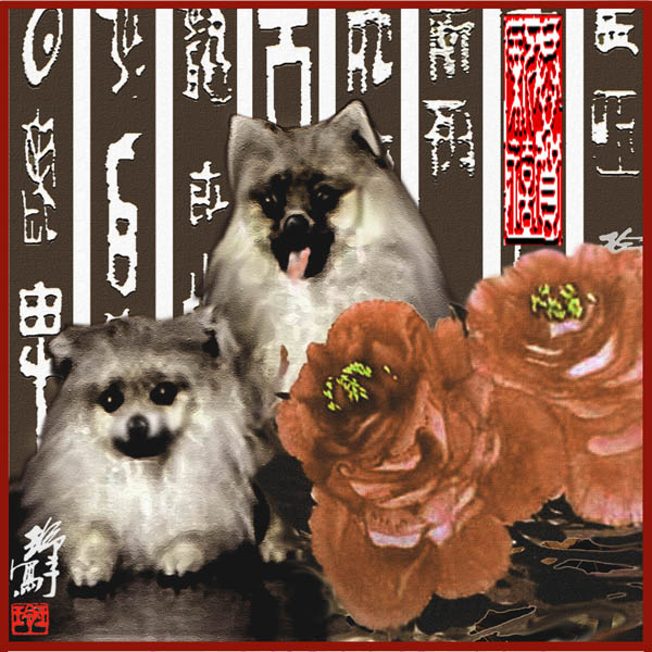 狗 Dogs 7.